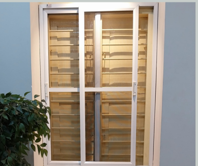 ss window (3)